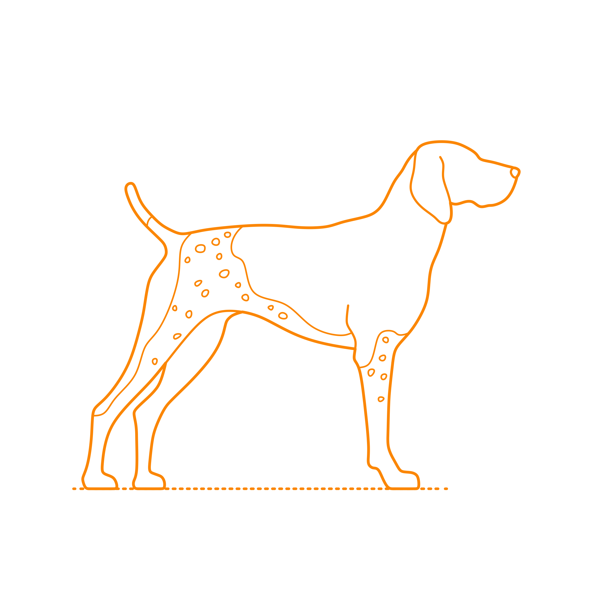 Animals Dogs German Shorthaired Pointer Outline Svg Vector Free Vectors
